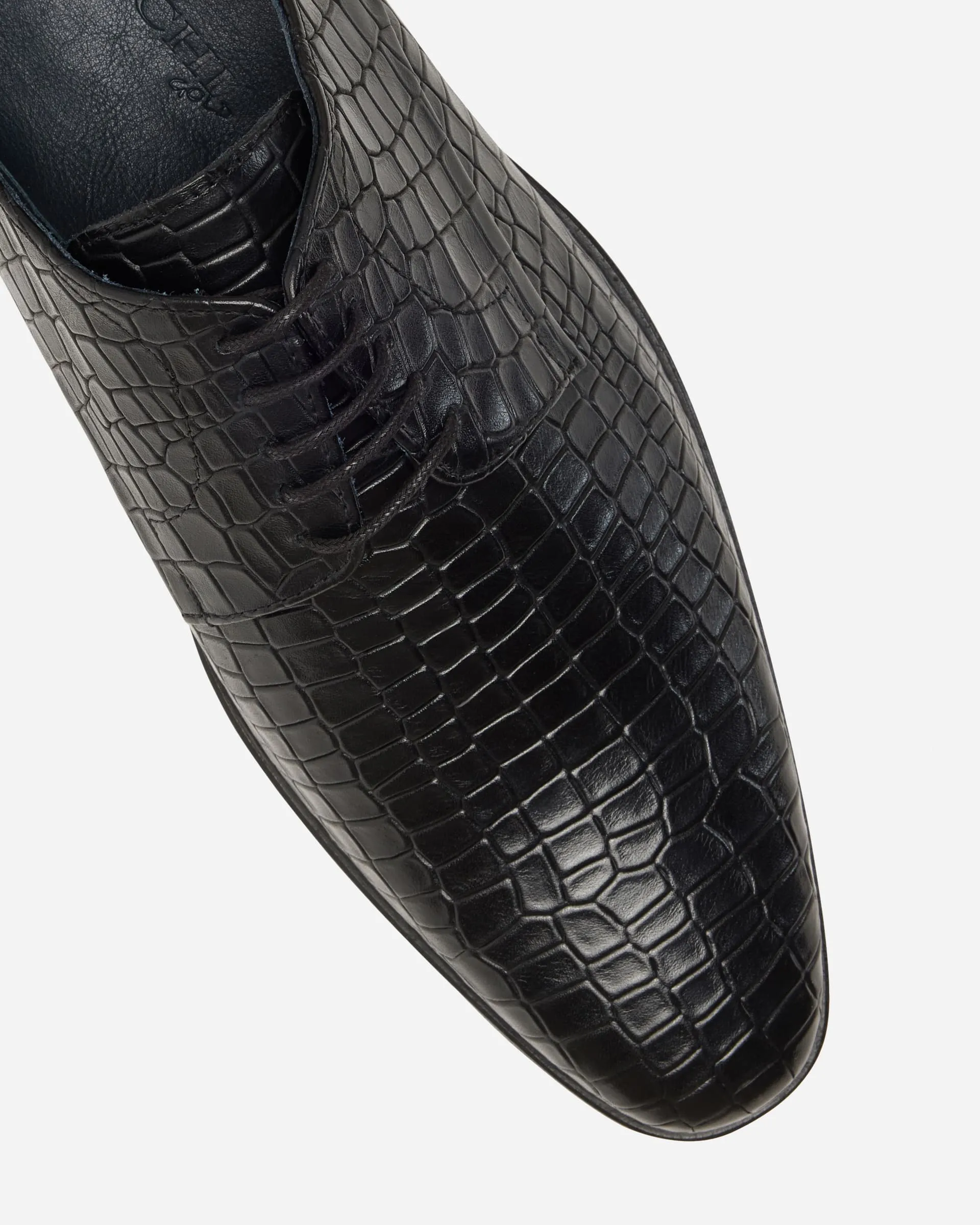 Croc Derby Lace Up