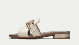 Hispanitas HV243268N- Mule