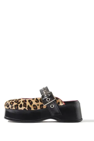 Rael platform_leopard